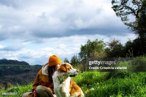 woman and dog looking to the right, on green meadow in autumn - copying stock pictures, royalty-free photos & images