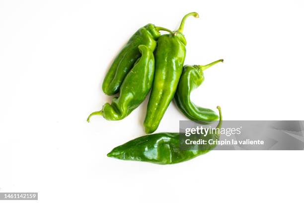 green frying bell pepper - groene paprika stockfoto's en -beelden