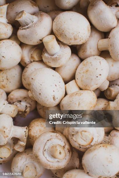 close-up of bulk mushrooms in a fruit stand - champignons stock-fotos und bilder