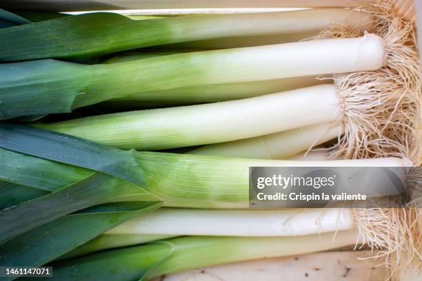 top view of a box of leeks - laune stock-fotos und bilder