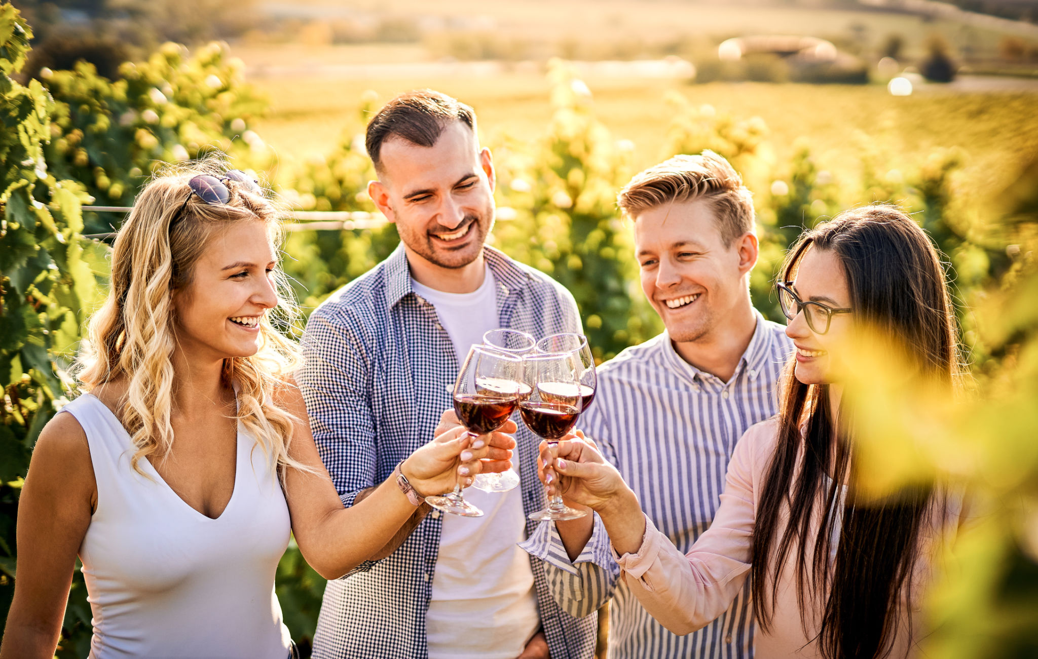 wine tasting tour
