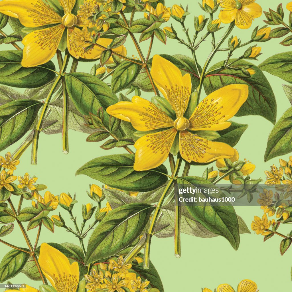 Ictorian Botanical, Hand-Colored, Seamless Repeating pattern. Realistic blooming isolated flowers Vintage fabric background. Beautiful Cottage Garden and wildflowers. Wallpaper baroque. Drawing engraving. Victorian Illustration. stock illustration