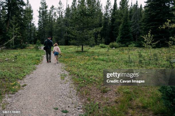 father and daughter walking on hiking trail in forest - colter bay stock pictures, royalty-free photos & images