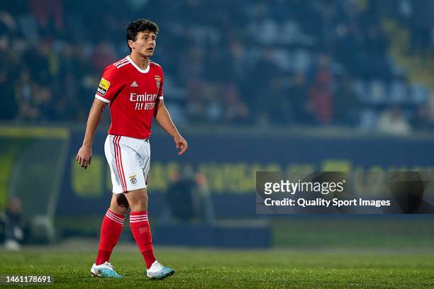 Joao Neves of SL Benfica looks on during the Liga Portugal Bwin match between FC Arouca and SL Benfica at Arouca Municipal Stadium on January 31,...