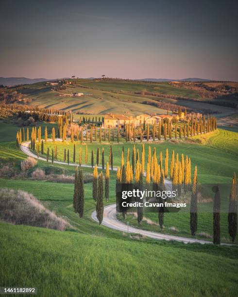 toscana fields and cypress roads at sunset - san gimignano - fotografias e filmes do acervo