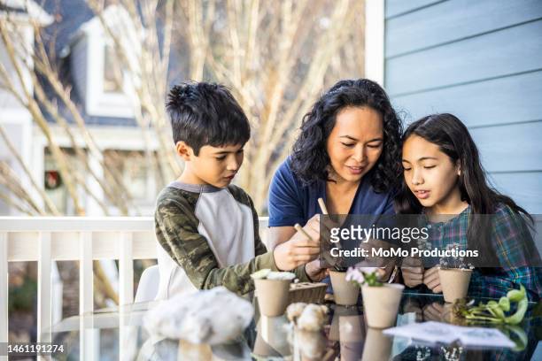 mother and children planting seedlings  in small planting pots - pacific islanders stock pictures, royalty-free photos & images