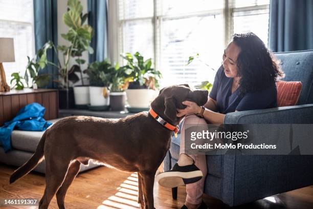 woman playing with her dog in living room - um animal - fotografias e filmes do acervo