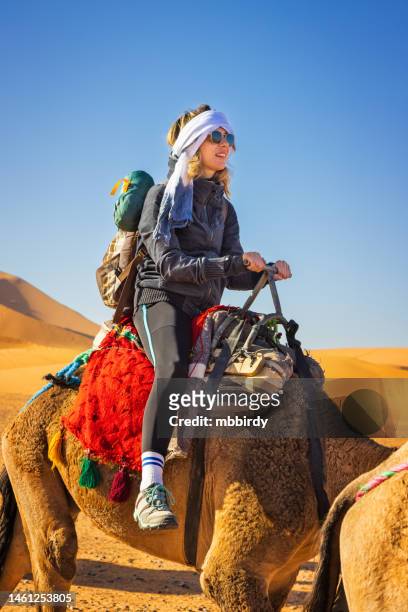 woman tourist riding camels in the desert, merzouga, erg chebbi, sahara, morocco - camel ride stock pictures, royalty-free photos & images
