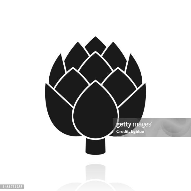 artichoke. icon with reflection on white background - artichoke stock illustrations