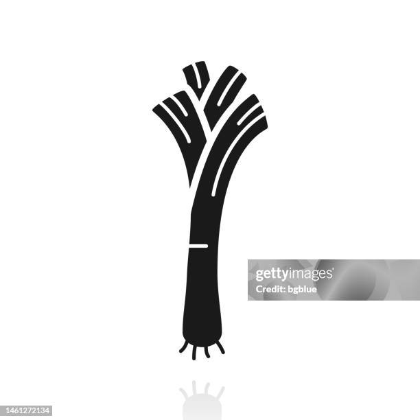 illustrations, cliparts, dessins animés et icônes de poireau. icône avec reflet sur fond blanc - poireau