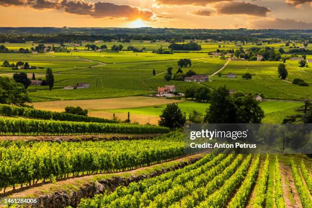 beautiful vineyards at sunset near a small town in france - france countryside stock pictures, royalty-free photos & images