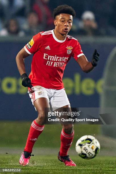 David Neres of SL Benfica in action during the Liga Portugal Bwin match between FC Arouca and SL Benfica at Arouca Municipal Stadium on January 31,...
