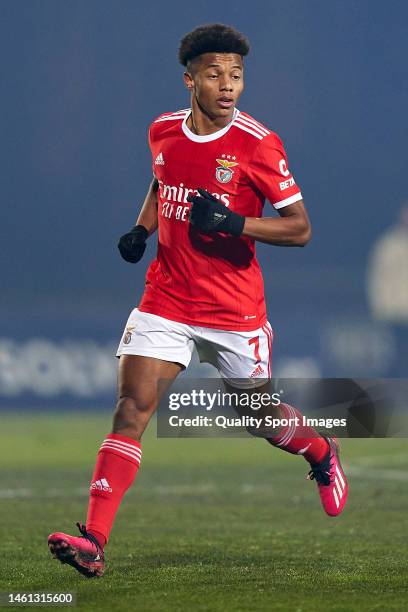 David Neres of SL Benfica in action during the Liga Portugal Bwin match between FC Arouca and SL Benfica at Arouca Municipal Stadium on January 31,...