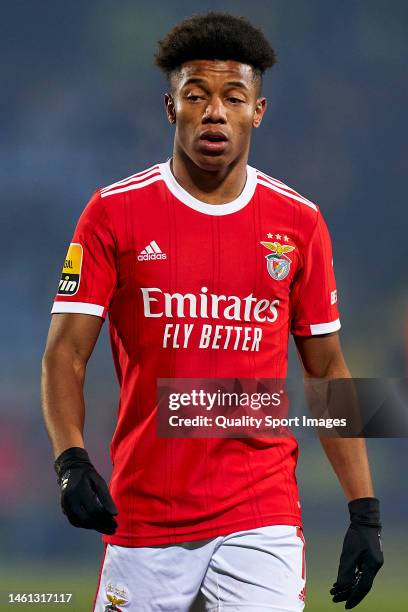 David Neres of SL Benfica looks on during the Liga Portugal Bwin match between FC Arouca and SL Benfica at Arouca Municipal Stadium on January 31,...