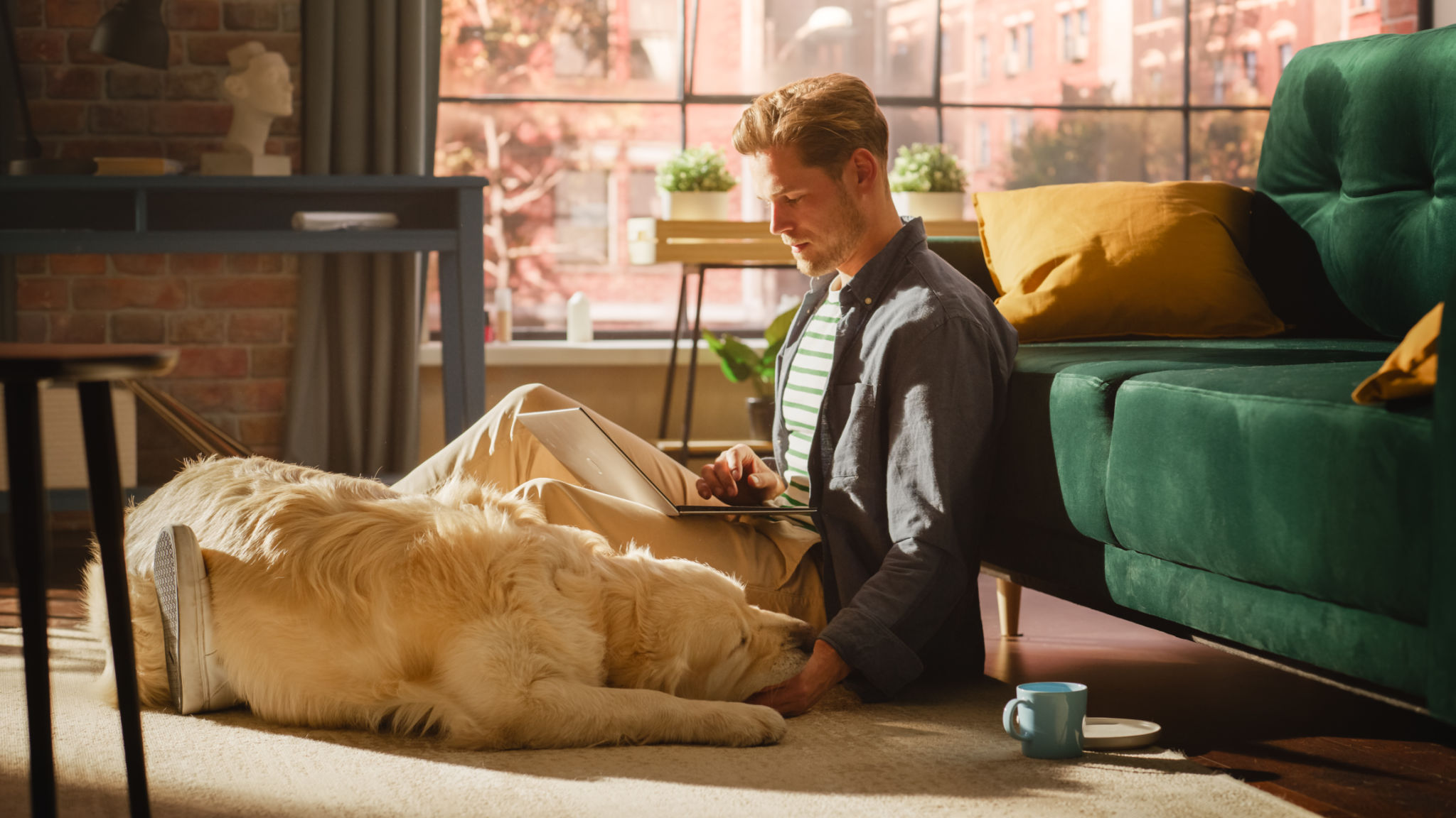 dog training home