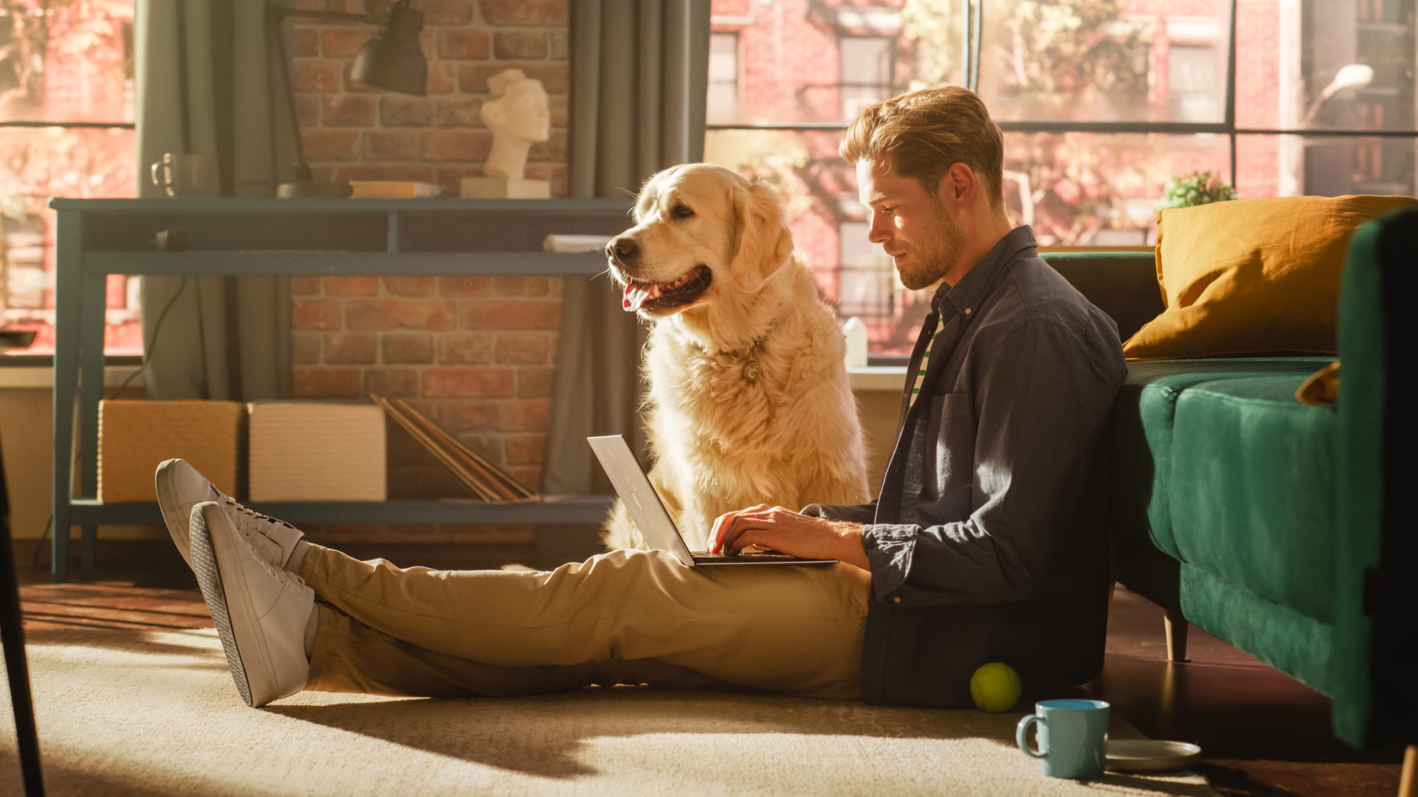 virtual dog training