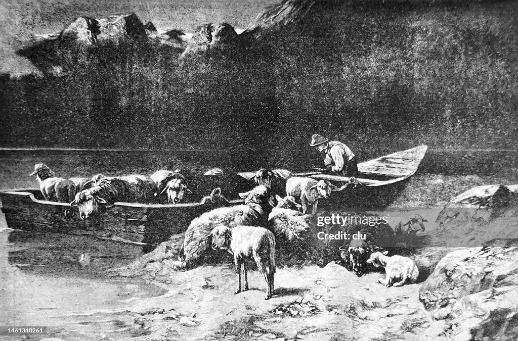Evening at the Achensee, shepherd arrives with his sheep on a boat
