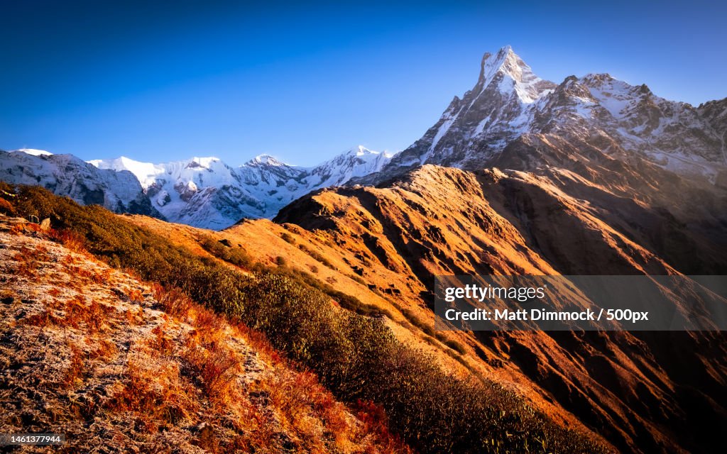 Mardi Himal Ridge looking up to Machhapuchhare Fishtail Mountain,Lumle,Nepal