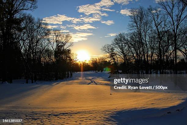 trees on snow covered field against sky during sunset,grand rapids,michigan,united states,usa - grand rapids michigan stock pictures, royalty-free photos & images