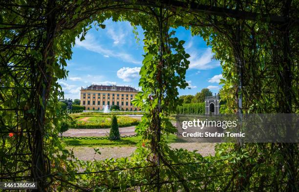 back view of the famous schonbrunn palace from a public accessible garden on a sunny day - hofburg wien stock pictures, royalty-free photos & images