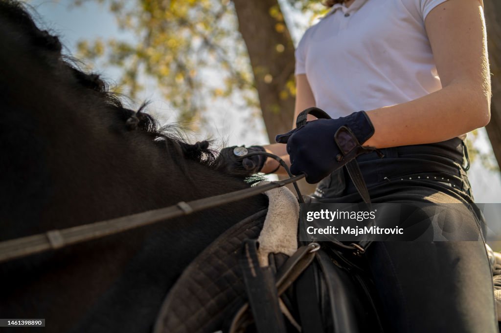 Close up of brown horse running with teenage rider girl,