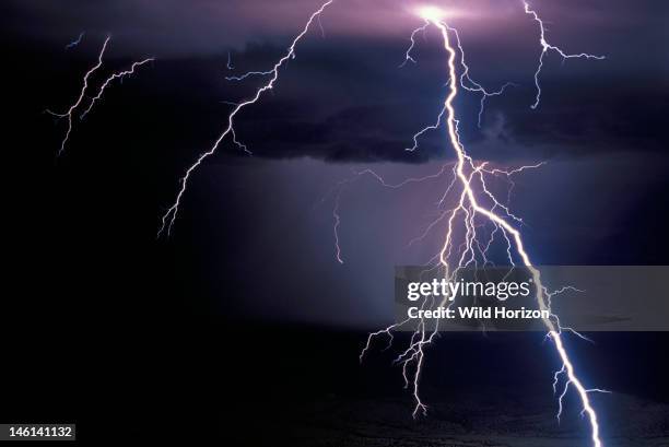 Intense cloud-to-ground lightning strike, Plains of San Agustin, New Mexico, USA,