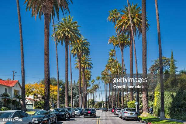 beverly hills palm tree lined street los angeles california - dodge challenger stock pictures, royalty-free photos & images