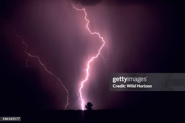 Powerful cloud-to-ground lightning strike misses a lone tree on the horizon, Marana, Arizona, USA,