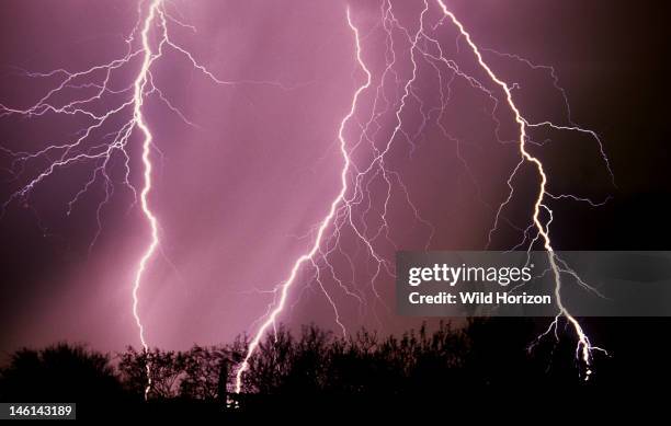 Wind-swept rain storm with three cloud-to-ground lightning strikes, Tucson, Arizona, USA,