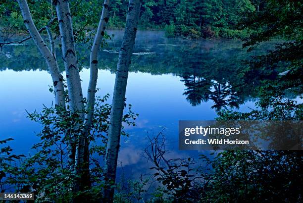 Dawn at Goose Pond, added to the Walden Pond State Reservation in 2002, Goose Pond retains the beauty and tranquility that inspired Henry David...