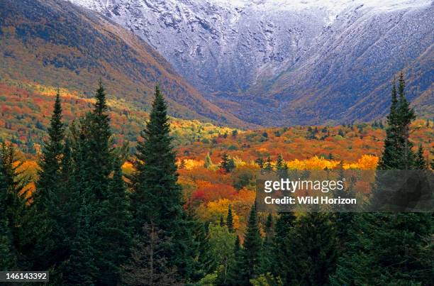 Autumn color and snow at the foot of Mount Madison in the Presidential Range of New Hampshire's White Mountains, White Mountain National Forest, New...