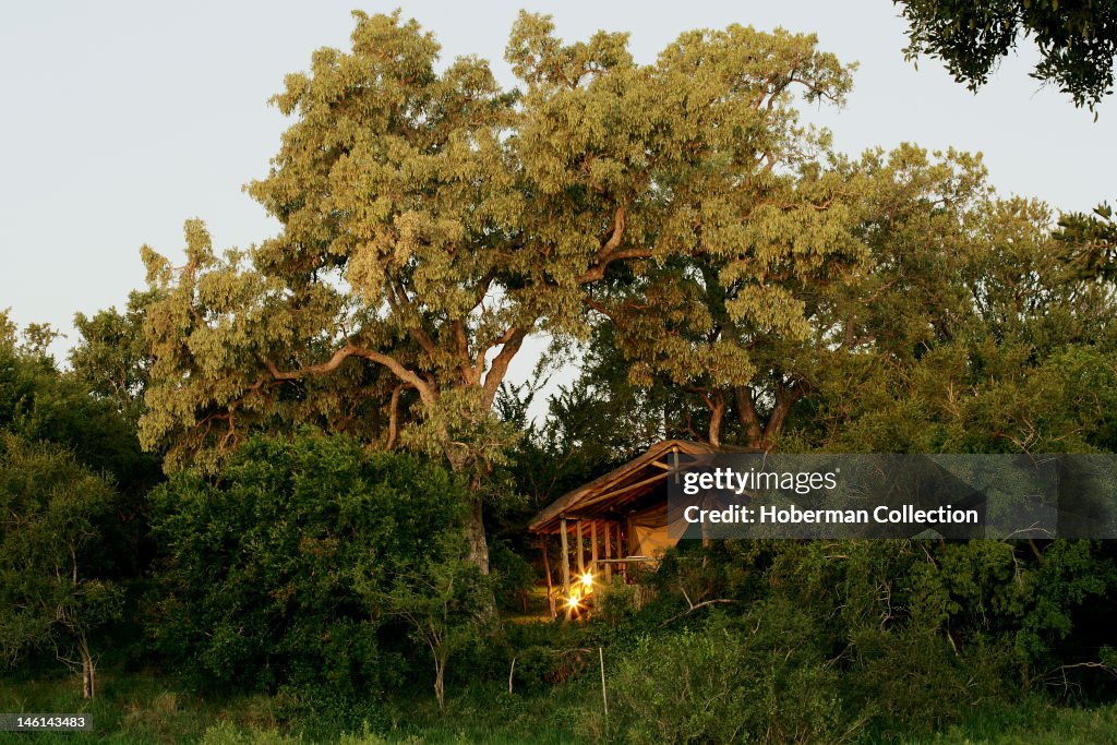 Limpopo, South Africa, Africa