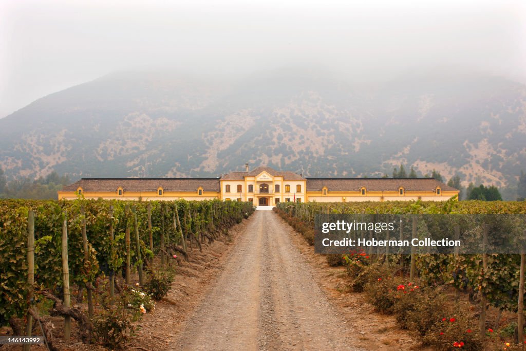 Santa Helena Winery, Chile