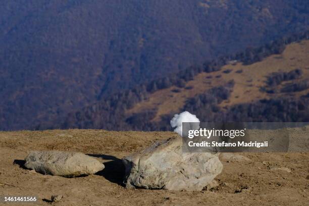 snowball on a rock - snowball fight sunny stock pictures, royalty-free photos & images