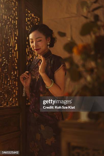 beautiful chinese woman in qipao holding a fan photographed in a studio portrait setting - chinese collar stock pictures, royalty-free photos & images