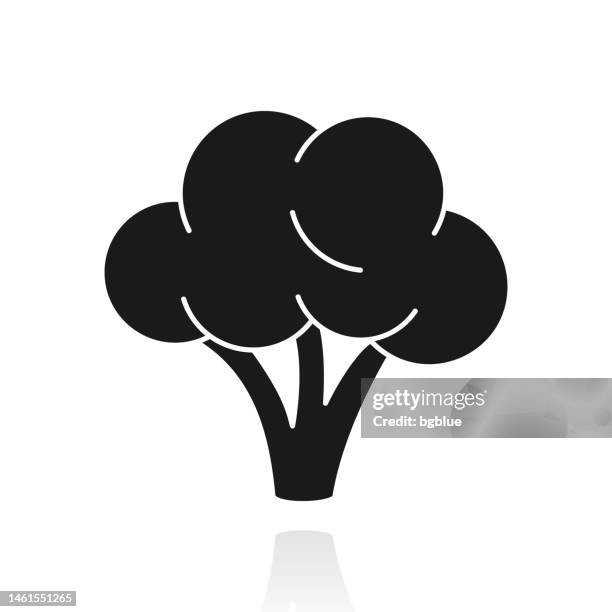 broccoli. icon with reflection on white background - broccoli stock illustrations