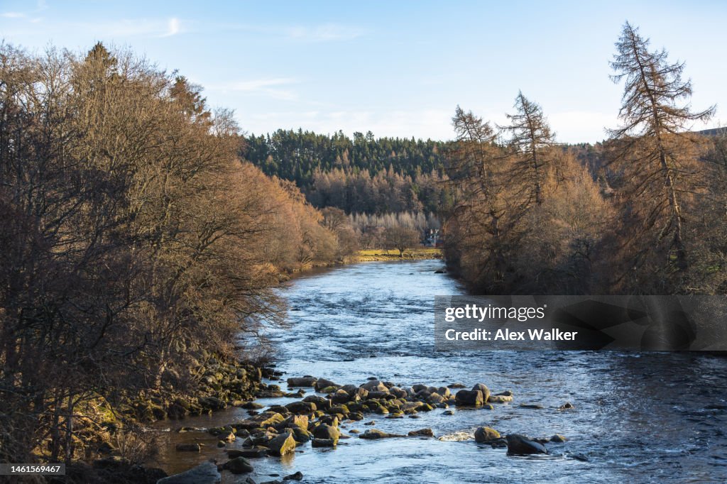 Treelined River in Scotland, Balmoral Estate, UK