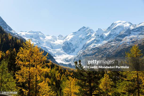 View on woods and glaciers from the Red Train of Bernina passing near the Bernina Massif to reach the next railway station of the Morteratsch...