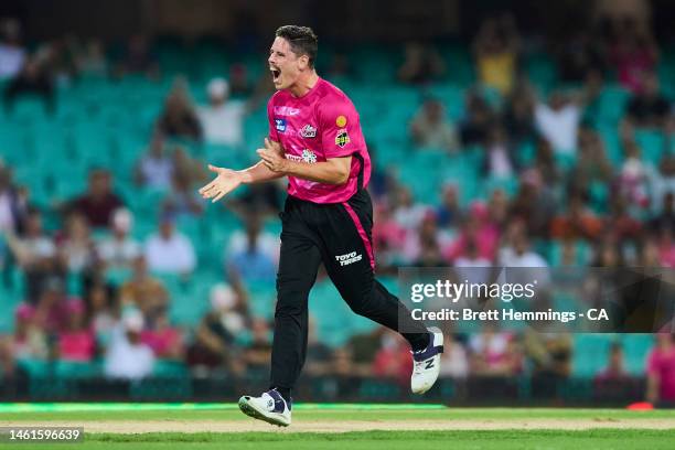 Ben Dwarshuis of the Sixers celebrates after taking the wicket of Josh Brown of the Heat during the Men's Big Bash League match between the Sydney...