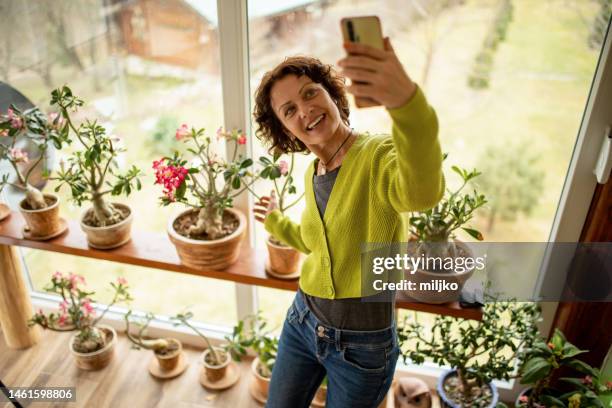 女性は彼女の家の庭の植物の世話をします - adenium obesum ストックフォトと画像