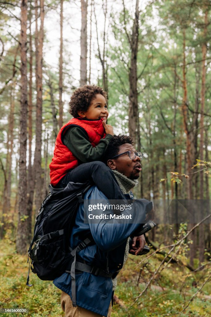 Side view of father carrying son on shoulder while exploring forest during vacation