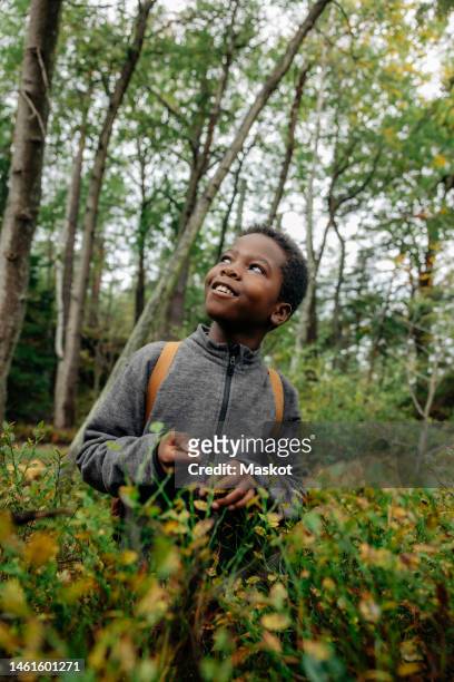 smiling boy day dreaming while standing near plants in forest during vacation - kid day dreaming photos et images de collection