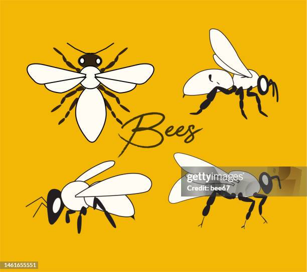 set of honey bees. - bumblebee white stock illustrations