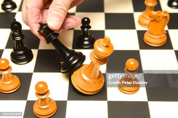 Checked Chess Check (Chess) Photos and Premium High Res Pictures - Getty Images