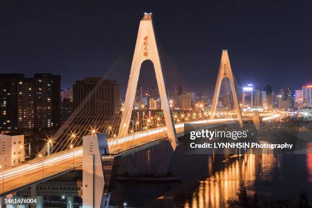 haikou city century bridge at night - haikou foto e immagini stock