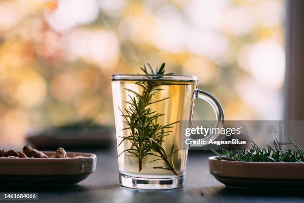 rosemary herbal tea - rosmarin bildbanksfoton och bilder