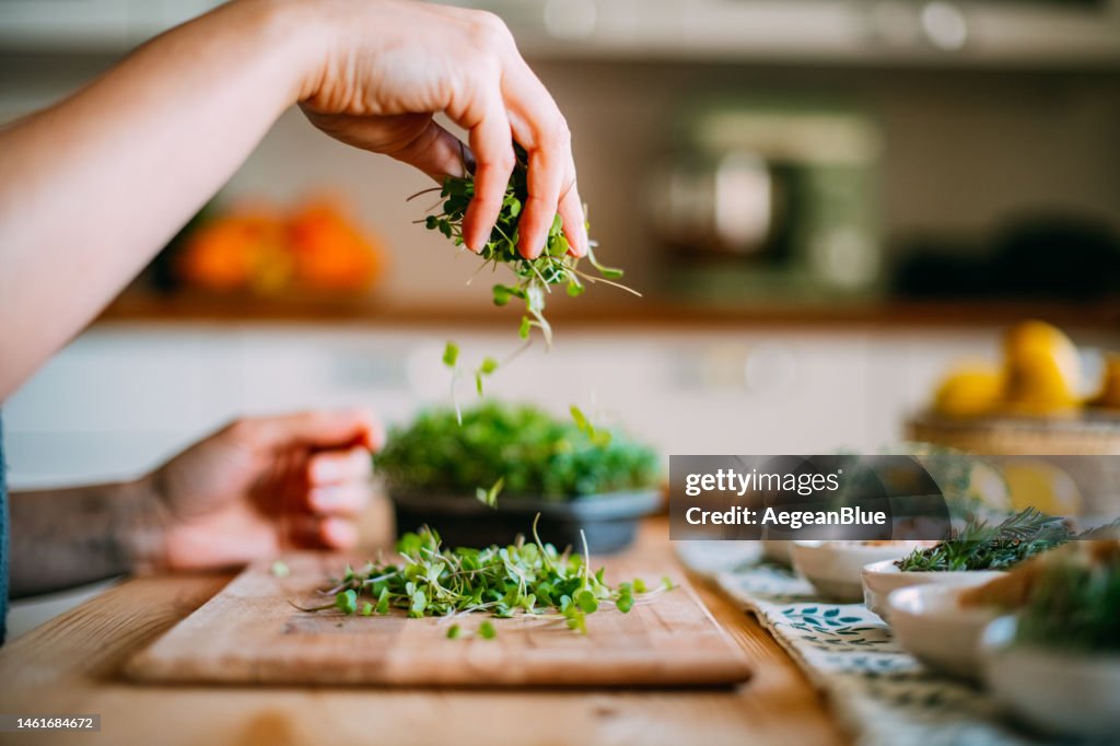 Woman Harvests the Micro Greens