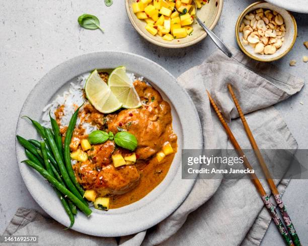 red curry with chicken - asiatische küche stock-fotos und bilder