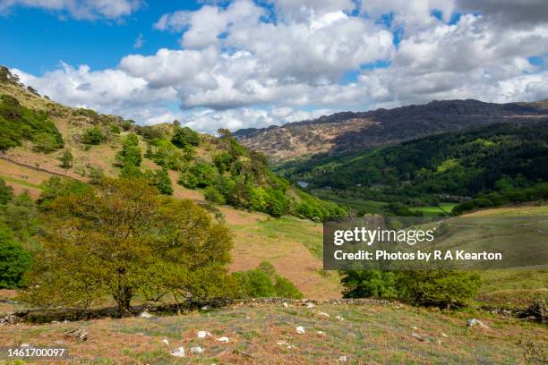 Snowdonia Spring 83 Snowdonia Flowers Stock Photos, High-Res Pictures, and Images ...