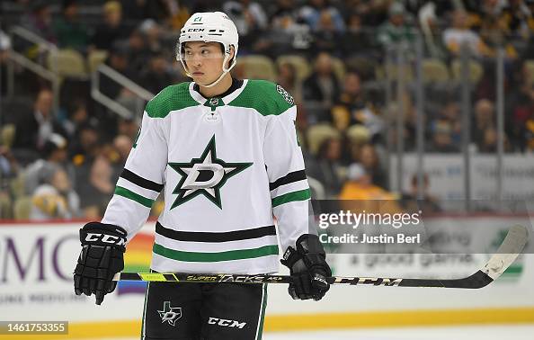 James Roderon Dallas Jason Robertson of the Dallas Stars looks on the in the second period ...